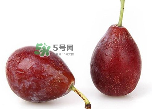 烏梅是西梅嗎？烏梅和西梅的區(qū)別