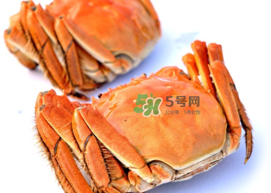 板蟹蒸多長(zhǎng)時(shí)間？板蟹蒸多久時(shí)間能熟？