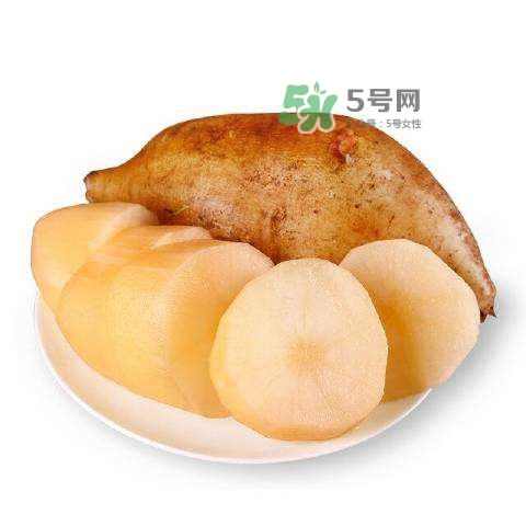 雪蓮果怎么挑？雪蓮果怎么儲(chǔ)存方法？