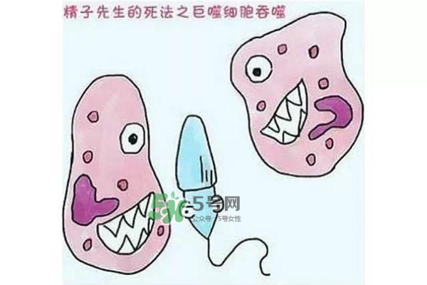 殺精的食物有哪些？吃什么東西殺精？