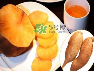 雪蓮果怎么挑？雪蓮果怎么儲(chǔ)存方法？