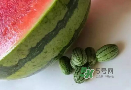 拇指西瓜多少錢(qián)一斤？拇指西瓜一口能吃幾個(gè)？