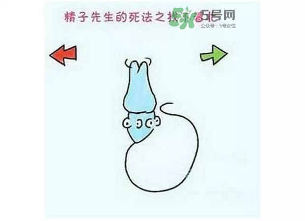 殺精的食物有哪些？吃什么東西殺精？