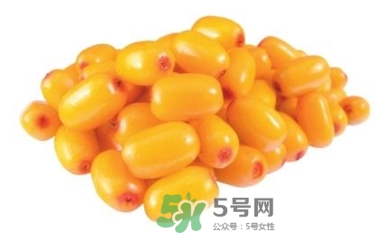 沙棘怎么吃？沙棘果的食用禁忌