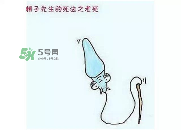 殺精的食物有哪些？吃什么東西殺精？