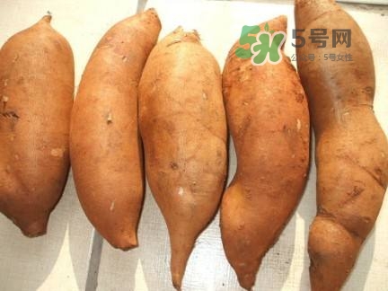 雪蓮果是水果嗎？雪蓮果是什么季節(jié)的水果？