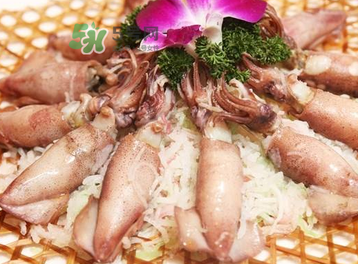魷魚(yú)仔肚子里是什么？魷魚(yú)仔肚子里能吃嗎？