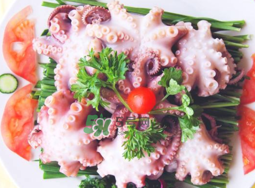 八爪魚什么地方不能吃？八爪魚哪里不能吃？