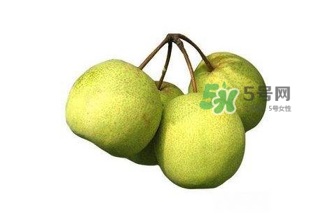 碭山梨好還是皇冠梨好？碭山梨和皇冠梨的區(qū)別