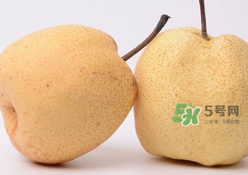 碭山梨什么時候成熟？碭山梨幾月份成熟
