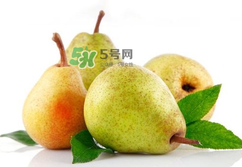 梨子是什么季節(jié)的水果？梨子什么季節(jié)吃最好