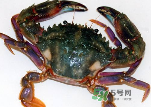 螃蟹腿藍(lán)色的是什么？螃蟹腿為什么是藍(lán)色？