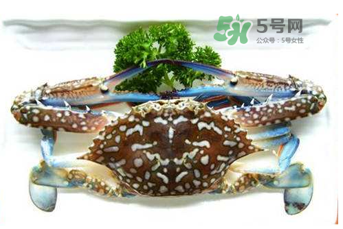 螃蟹腿藍(lán)色的是什么？螃蟹腿為什么是藍(lán)色？
