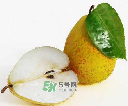 梨子核可以種盆栽嗎？梨子籽怎么種小盆栽