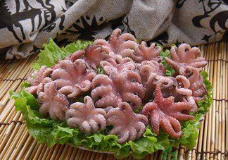 八爪魚(yú)煮多久才好？八爪魚(yú)需要煮多久？