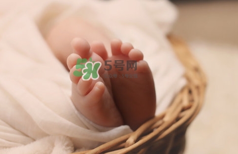 孕婦怎么吃燕窩最好？哪些孕媽需要吃燕窩？