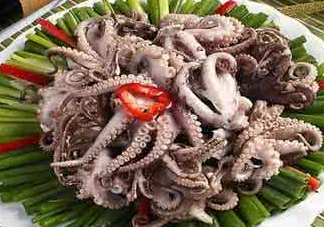 八爪魚可以冷凍嗎？八爪魚可以放冰箱嗎？