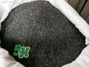 怎么看男人腎好不好？男人腎虛吃什么調(diào)理？
