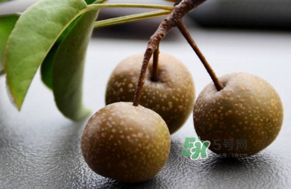 棠梨子怎么吃？棠梨子孕婦可以吃嗎