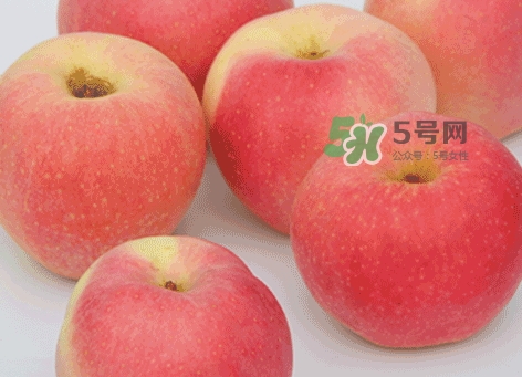 嘎啦蘋果什么時候摘袋？嘎啦果什么時候成熟上市