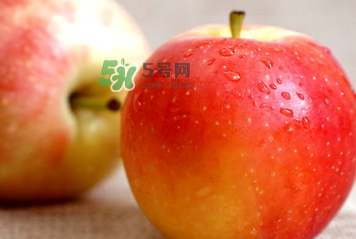 嘎啦蘋果多少錢？嘎啦果多少錢一斤