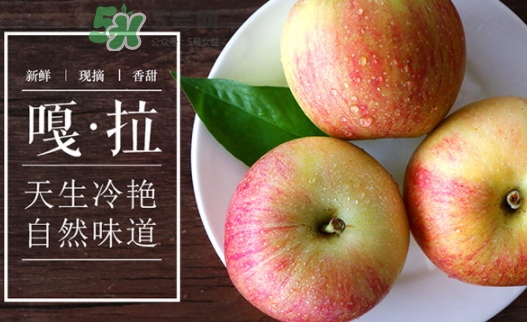 嘎啦蘋果多少錢？嘎啦果多少錢一斤
