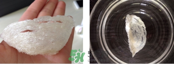燕窩用什么鍋燉最好吃？燕窩用什么器具燉最好？