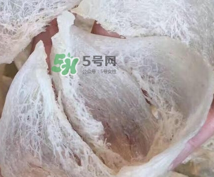 燕窩里面含有激素嗎？燕窩兒童吃了會不會性早熟？