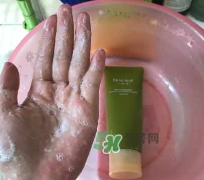 一葉子補(bǔ)水潔面乳怎么樣？一葉子補(bǔ)水洗面奶好用嗎？