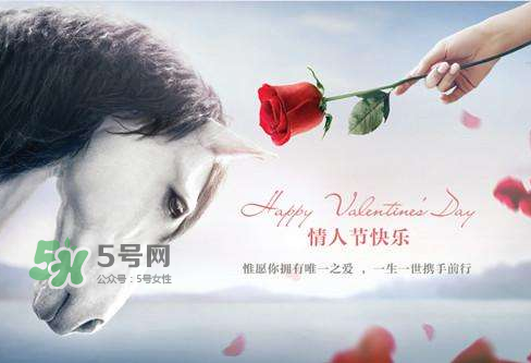 roseonly怎么樣？roseonly好看嗎？