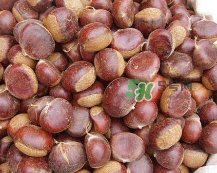哪里產(chǎn)的板栗最好吃？板栗怎么挑選