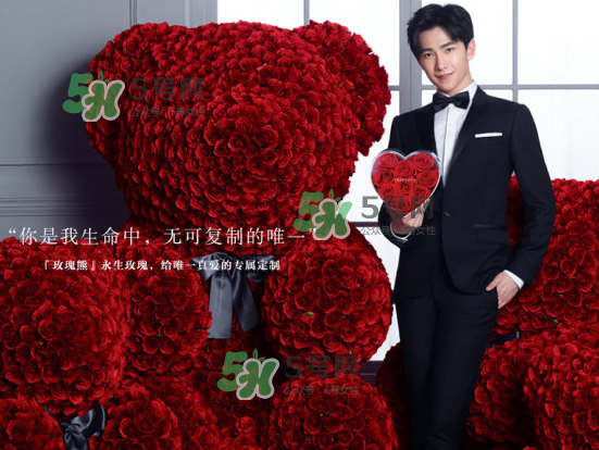 roseonly熊什么材質(zhì)？roseonly玫瑰熊是真花嗎？