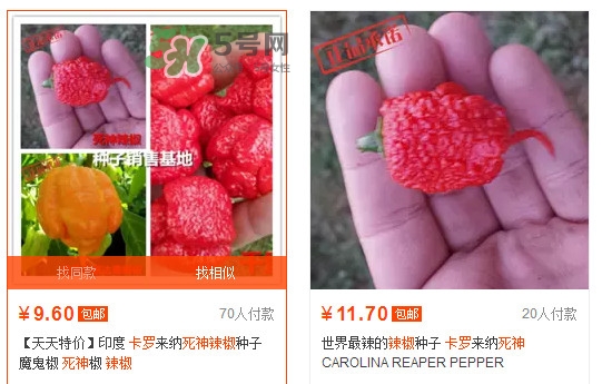 卡羅萊納死神辣椒中國(guó)有嗎？死神辣椒哪里有賣