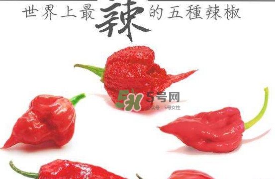 卡羅萊納死神辣椒中國(guó)有嗎？死神辣椒哪里有賣