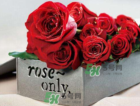 roseonly怎么看真假？roseonly真假對(duì)比
