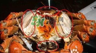 螃蟹怎么吃好吃？螃蟹和什么一起吃最好？
