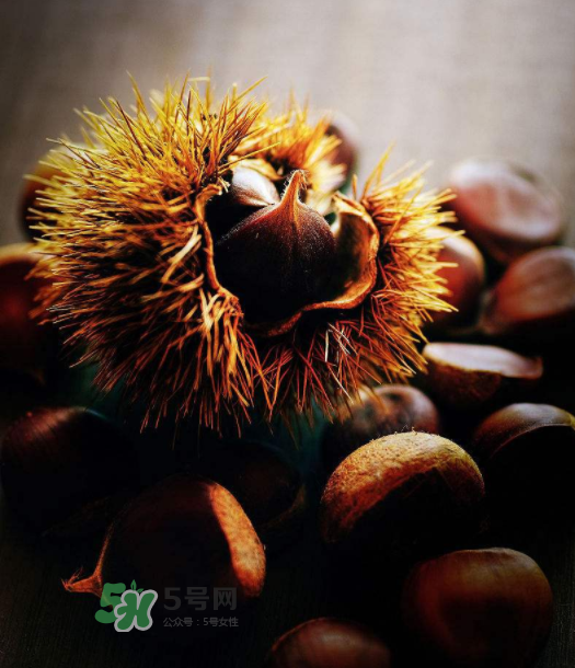 板栗能補腎嗎？板栗補腎陰還是腎陽？