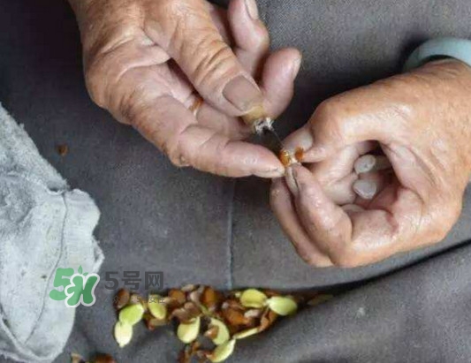 皂角米是怎么剝出來的？皂角米是酸性還是堿性