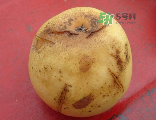皇冠梨雞爪病能吃嗎？皇冠梨雞爪病怎么辦？