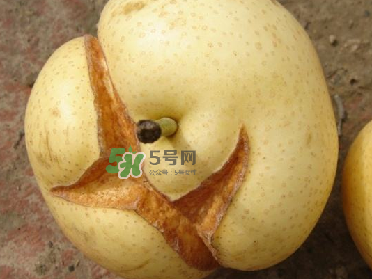 皇冠梨雞爪病能吃嗎？皇冠梨雞爪病怎么辦？