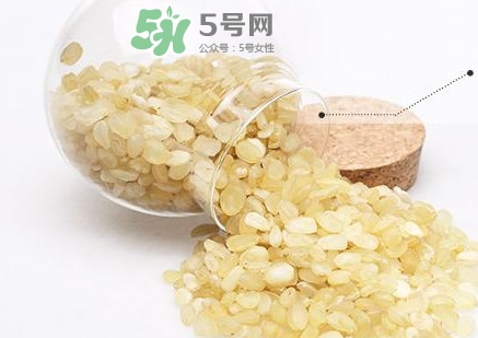 皂角米吃了有什么好處？皂角米的功效與作用