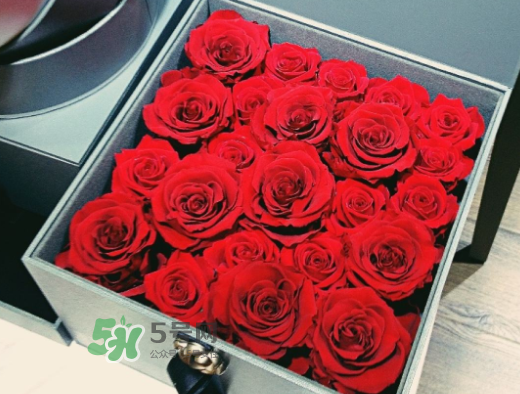 roseonly怎么買？roseonly如何買第二次？