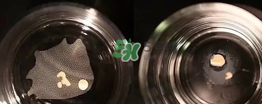 資生堂智能持久粉底液怎么樣？資生堂智能粉底液怎么用
