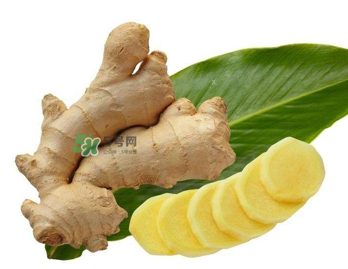 胃病患者可以長期食用生姜嗎？胃不好能不能吃姜？