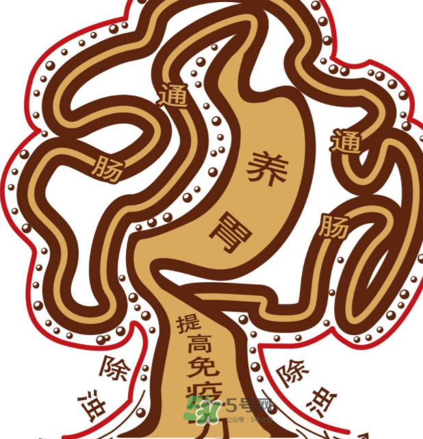 腸胃不好會(huì)引起頭暈嗎？頭暈與腸胃不好有關(guān)系嗎？