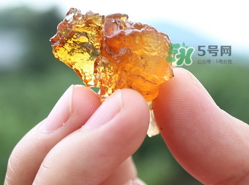桃膠有假的嗎？如何分辨桃膠真假