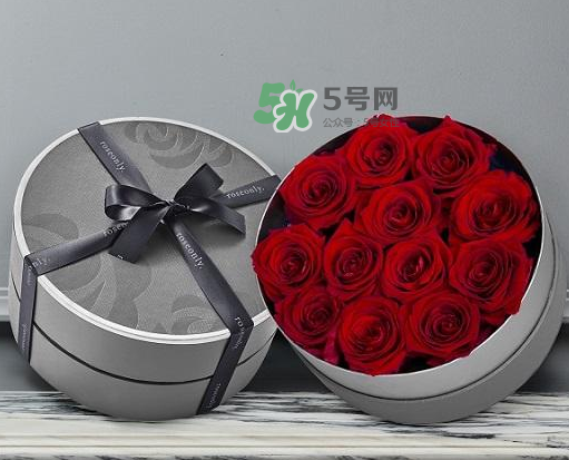 roseonly怎么讀？roseonly怎么讀在線讀？