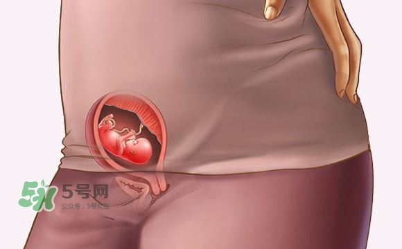 孕期尿頻什么時候開始？孕期尿頻特別嚴重
