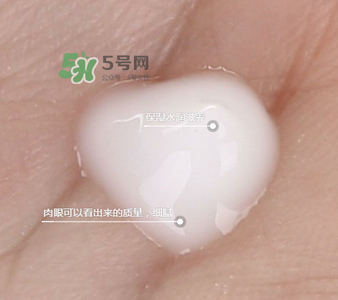 蘭芝新水酷特潤乳霜多少錢？蘭芝新水酷特潤乳霜價格