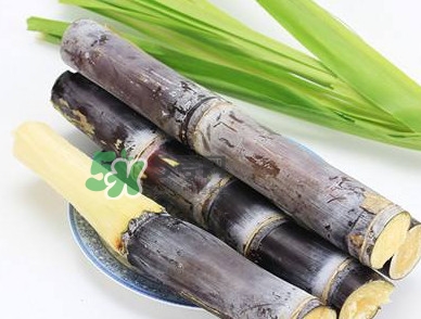 甘蔗什么時候成熟？甘蔗什么時候上市